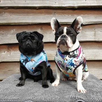 Welke jas is geschikt