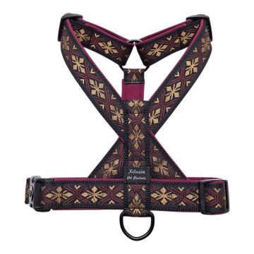 20260115114544 photoroom