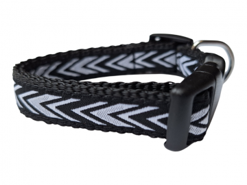 20260323092142 photoroomresized 0