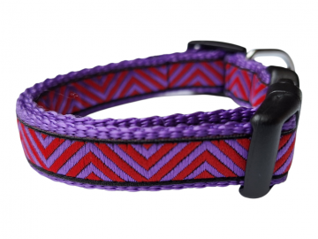 20260323092258 photoroomresized 0