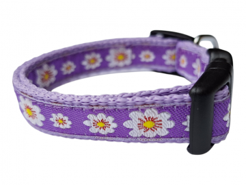 20260323092358 photoroomresized 0