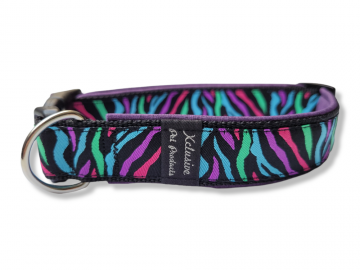 Gevoerde halsband maat m zebra purple