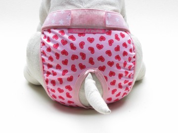 Loopsheidbroekje red heart