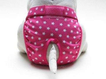 Loopsheidbroekje pink star