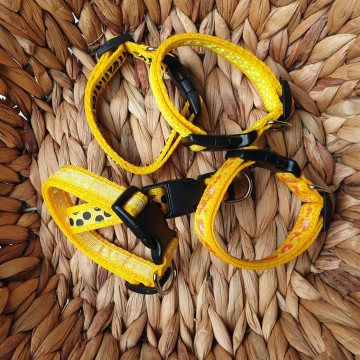 Surprise puppybandjes geel