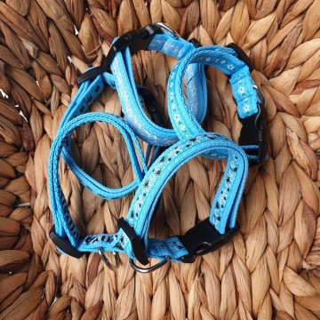 Surprise puppybandjes lichtblauw