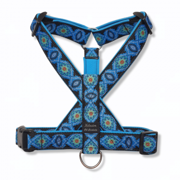 Zwart band aqua blauw voering