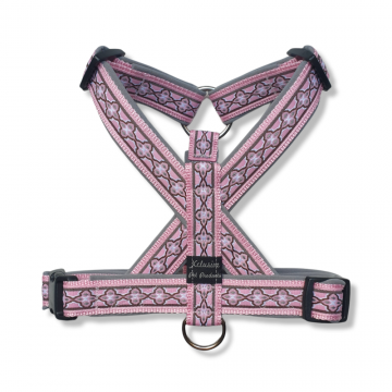 Lichtroze band grijs voering